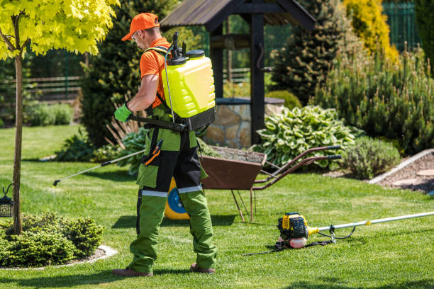 Best Bee and Wasp Removal  in The Galena Territory, IL